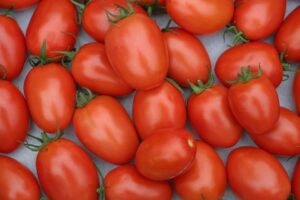 Jenis Jenis Tomat